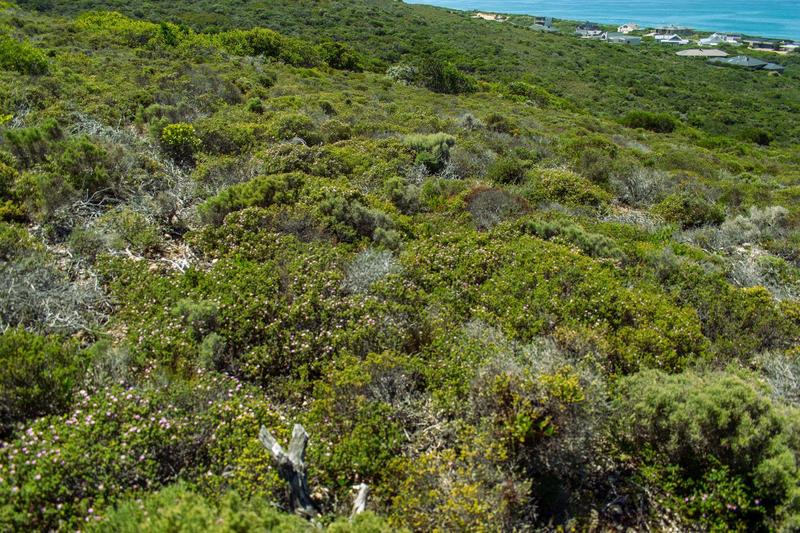 0 Bedroom Property for Sale in Moquini Western Cape